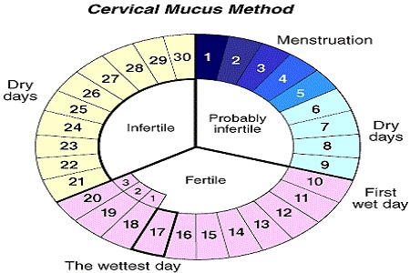 Cara Menghitung Masa Subur Wanita!!