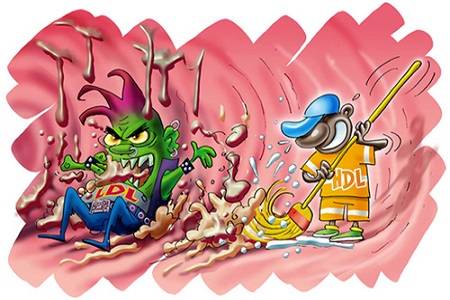 Hal hal Penyebab Meningkatnya Kolesterol!!